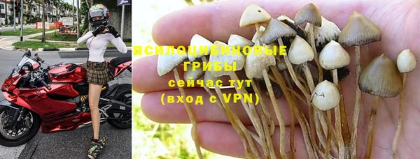 дурь Алексеевка