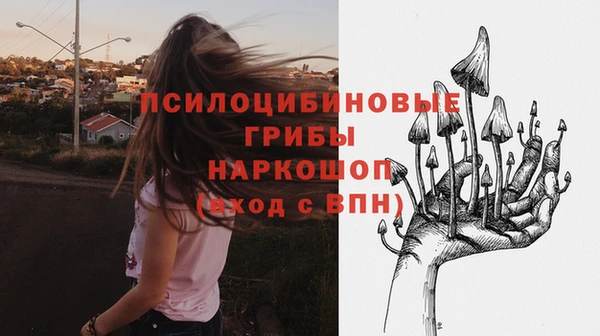 2c-b Алзамай