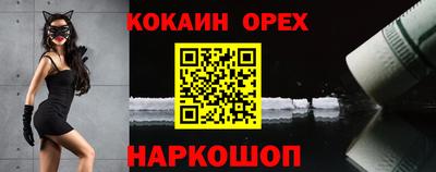 эйфоретик Кингисепп