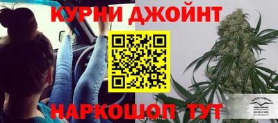 эйфоретик Кингисепп
