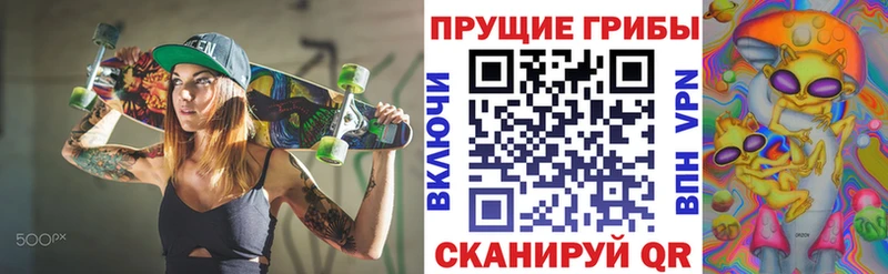 Псилоцибиновые грибы Psilocybe  Кириши 