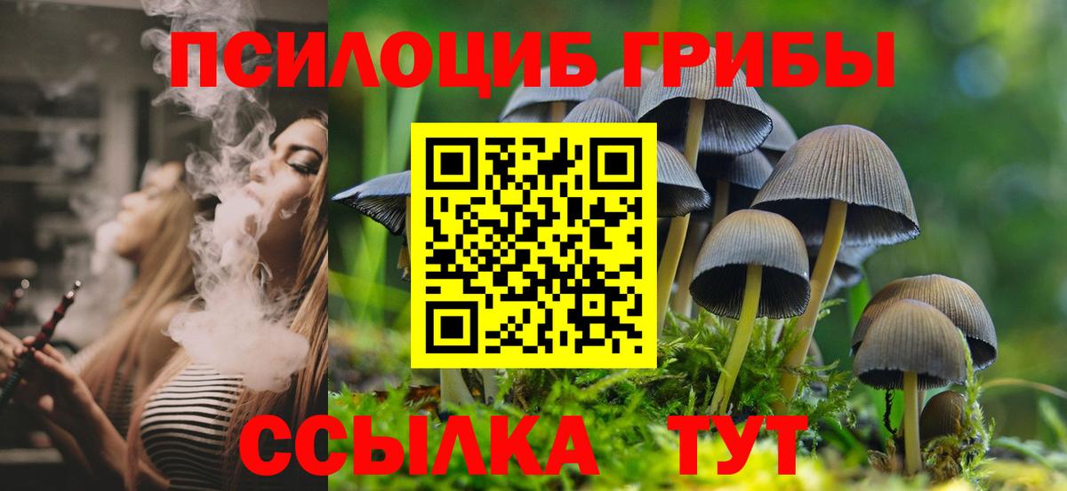 Псилоцибиновые грибы мухоморы  Галлюциногенные грибы Magic Shrooms  Кириши  Вход с VPN 