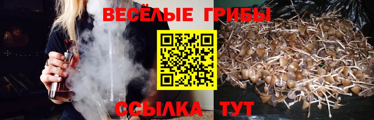 Галлюциногенные грибы Psilocybine cubensis Кириши